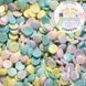 Кондитерская посыпка CONFETTI - 106 мл P-95 фото 2